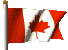 Canadian Flag Logo